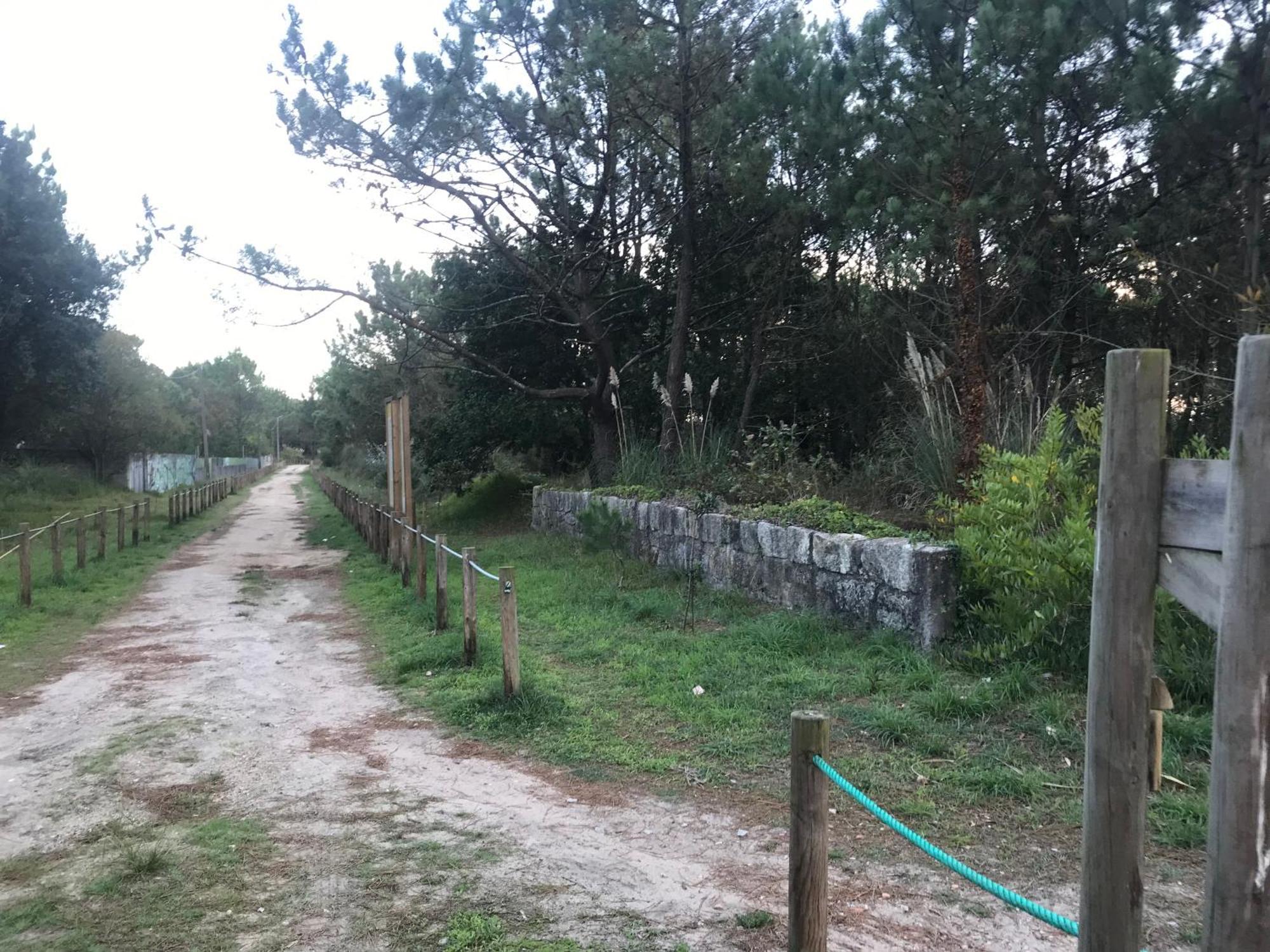 Arvore Cozy Com Jardim Dış mekan fotoğraf