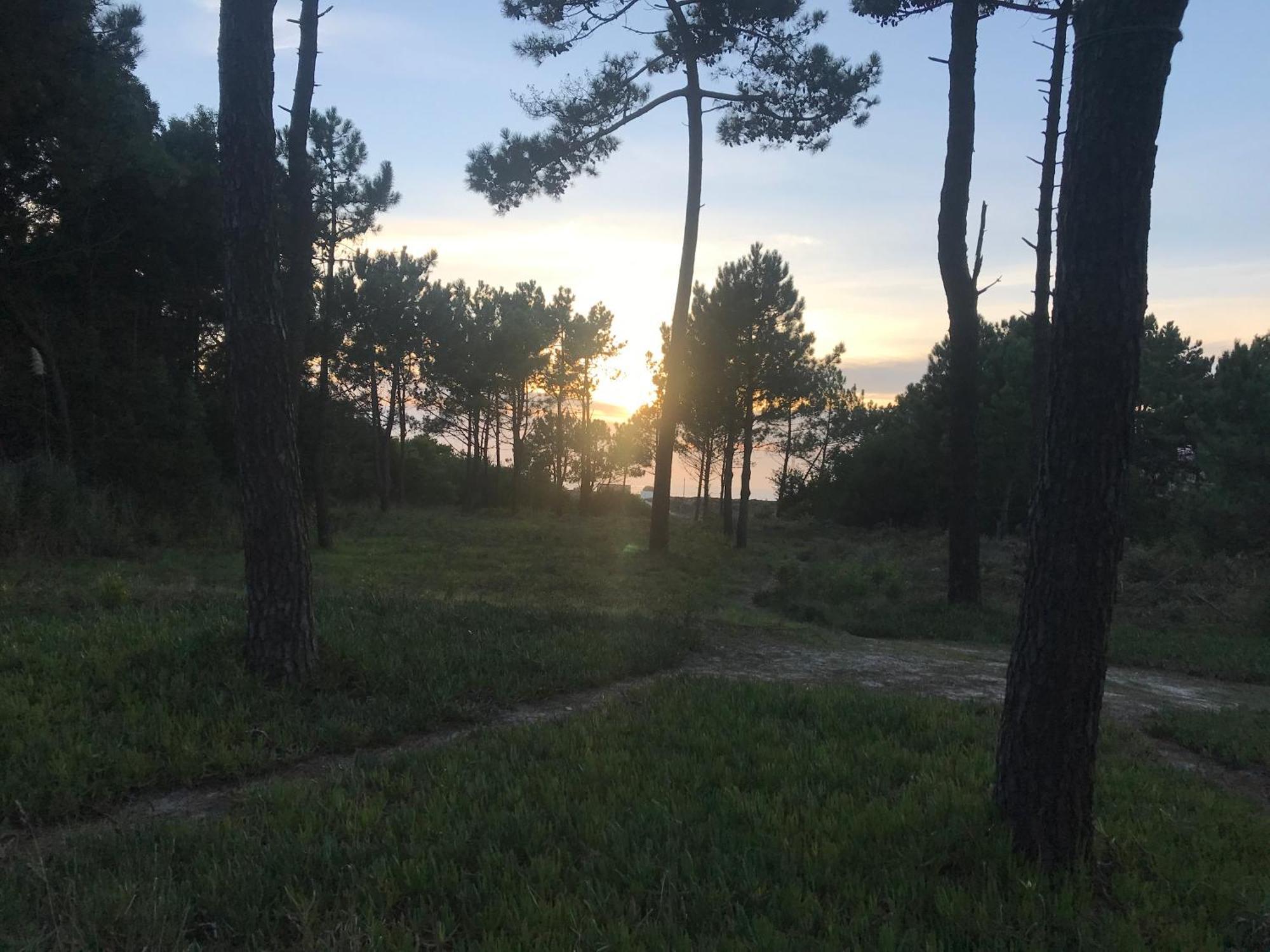Arvore Cozy Com Jardim Dış mekan fotoğraf